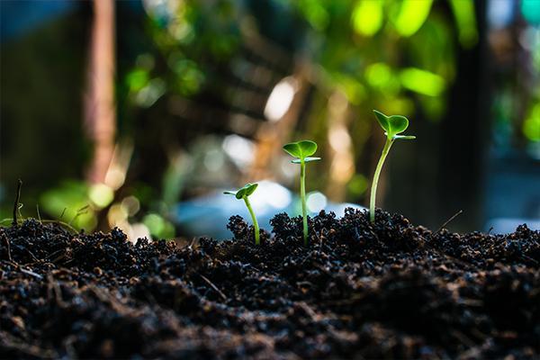 ISO 14001 : 2015