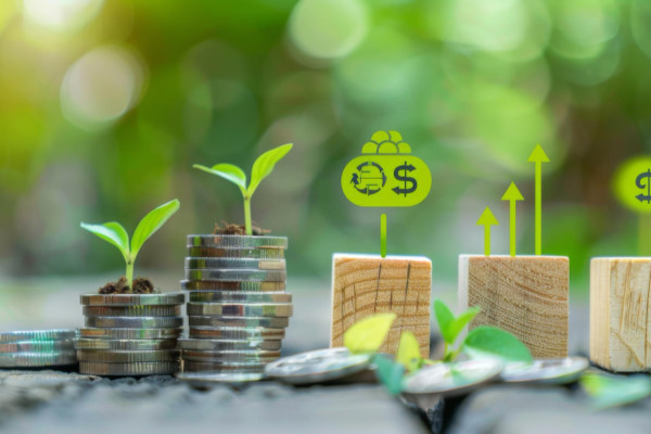 Étude, mise en œuvre et accompagnement de la certification EPD & LCA